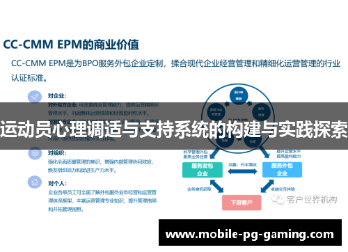 运动员心理调适与支持系统的构建与实践探索